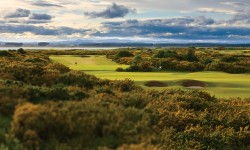 ニューコース（The New Course）