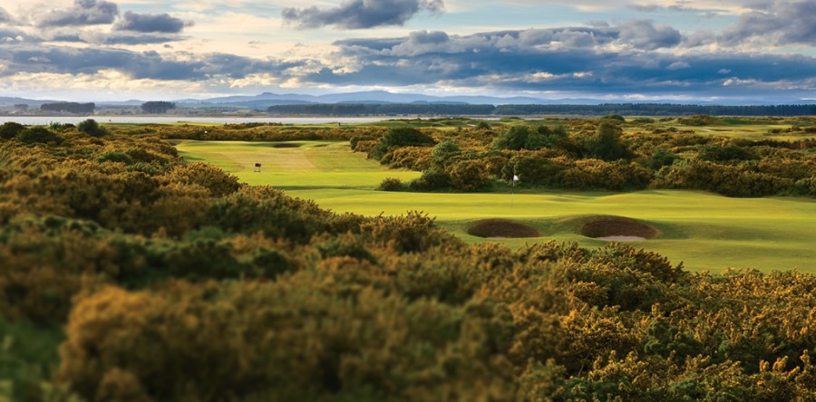 ニューコース（The New Course）